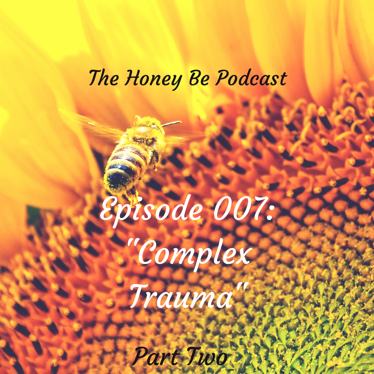 The Honey Be Podcast – Episode 007: “Complex Trauma – Part Two”