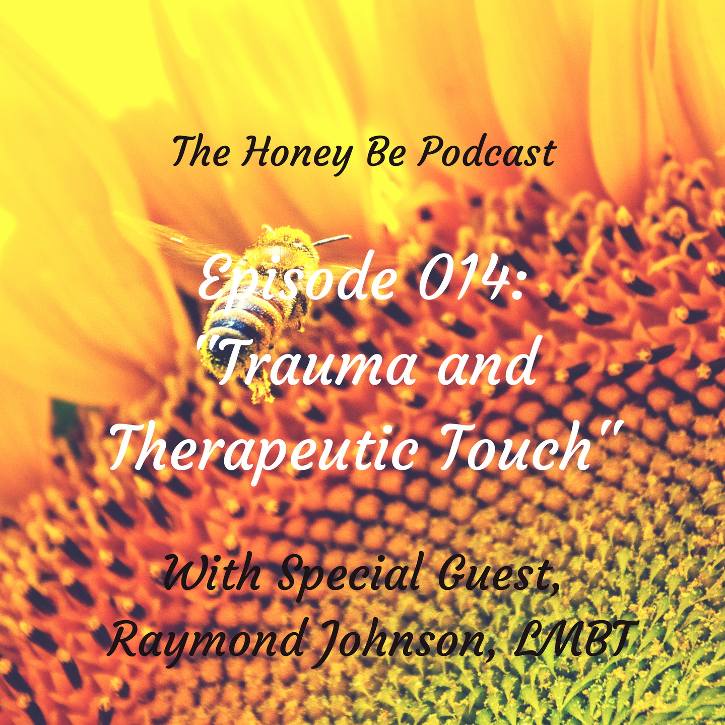 The Honey Be Podcast – Ep. 014: “Trauma and Therapeutic Touch”