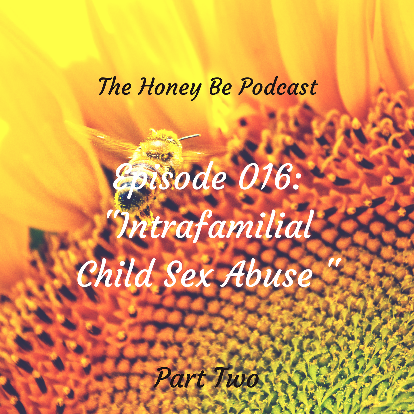 The Honey Be Podcast – Episode 016: “Intrafamilial Child Sex Abuse – Part Two”